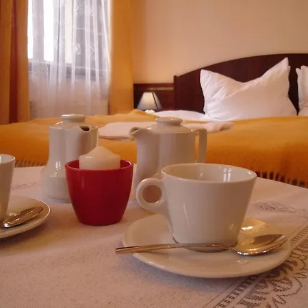 Bily Kun 3* Karlovy Vary